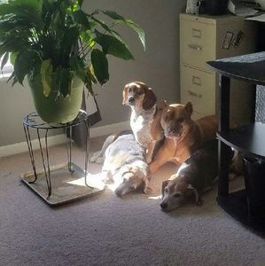 Meet your Posher, Amy