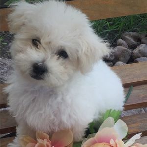 Meet your Posher, Tanya