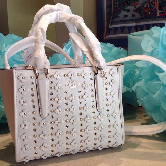 NWT  Stunning leather Mini Cross Body Coach Purse