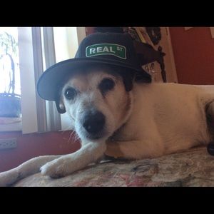 Meet your Posher, Harper