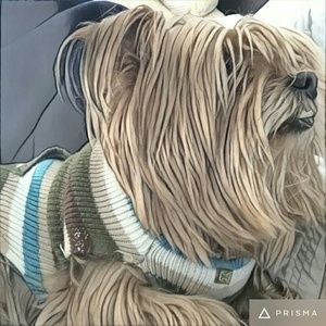 Meet your Posher, Kamilla