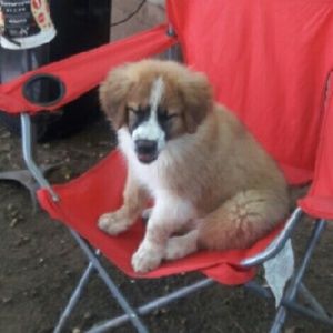 Meet your Posher, Monica