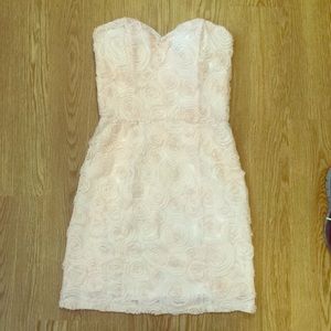 Blush Lush Dress