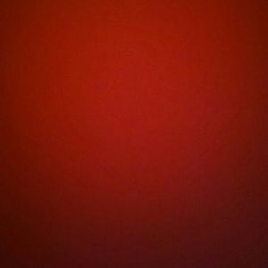 Meet your Posher, Kaylan