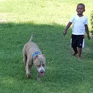 Meet your Posher, Rodney