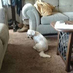 Meet your Posher, Donna