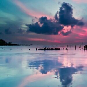 Meet your Posher, Raine