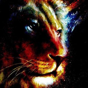 Meet your Posher, Duong