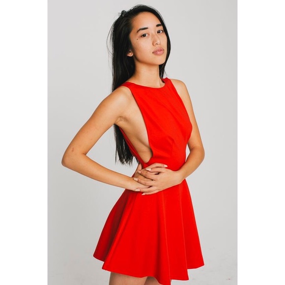 American apparel pointe skater dress