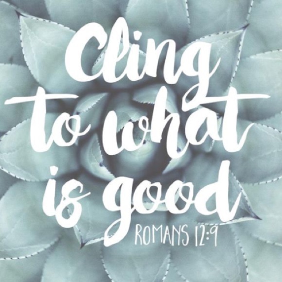 Meet your Posher, Abigail