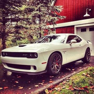 Meet your Posher, Russell