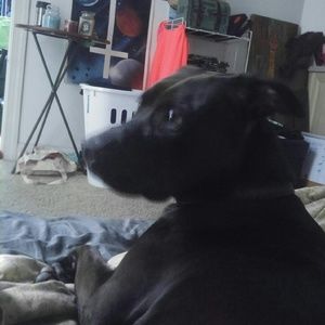 Meet your Posher, Nykki