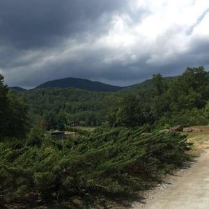 Meet your Posher, Devyn