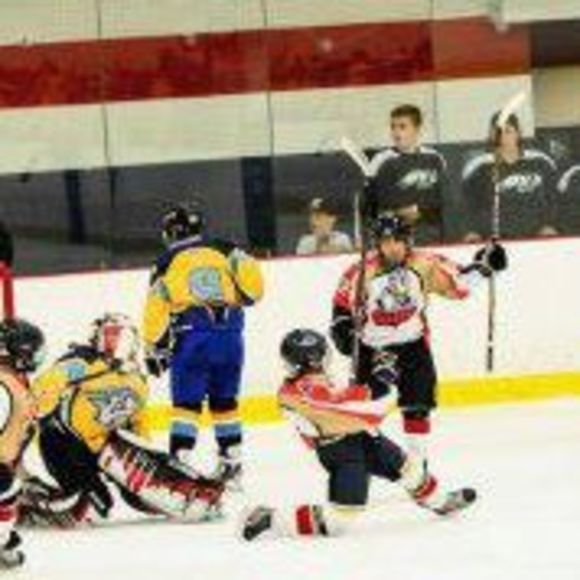 Meet your Posher, Ryan - Picture 1 of 1