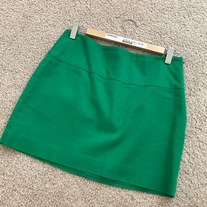Express skirt