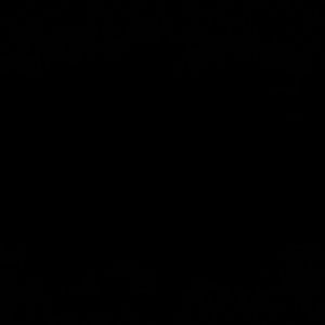 Meet your Posher, Moises