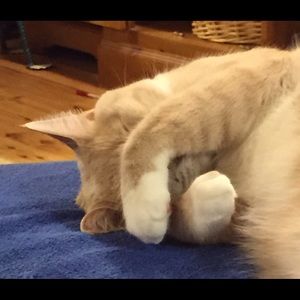 Meet your Posher, Barbara