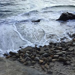 Meet your Posher, Eduardo