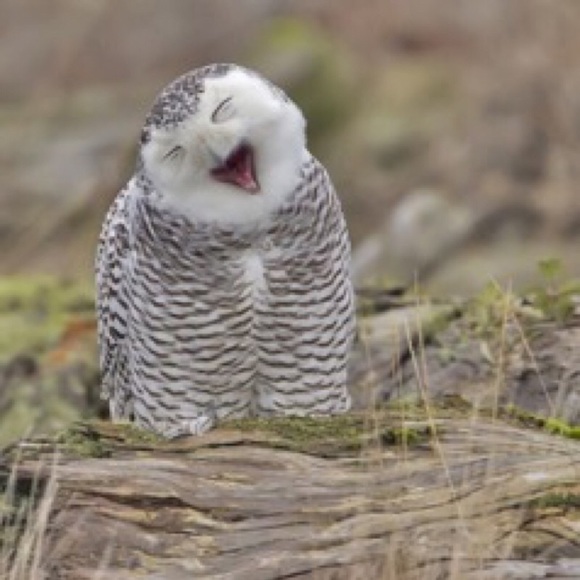 Meet your Posher, Katherine