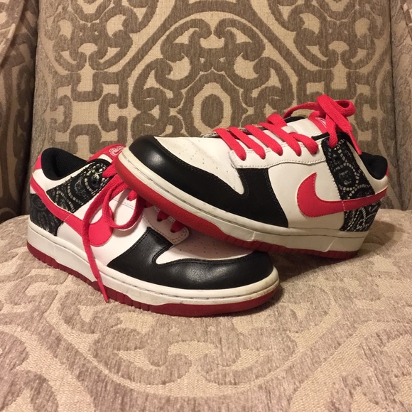 Nike 6.0 Sneakers