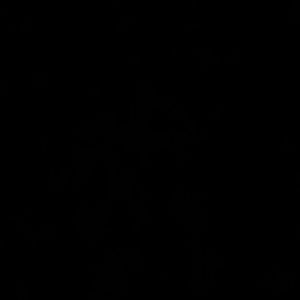 Meet your Posher, Lupe