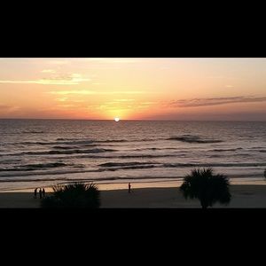 Meet your Posher, Marley