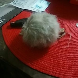 Meet your Posher, Carmalithia