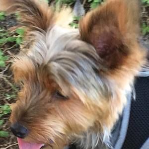 Meet your Posher, Lori