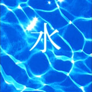 Meet your Posher, Cesar