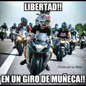 Meet your Posher, Steve