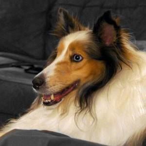 Meet your Posher, Gail