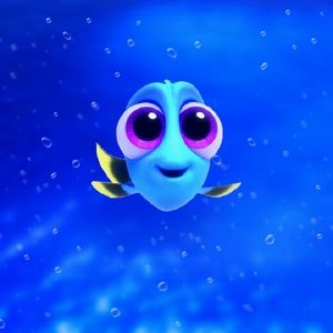 Meet your Posher, Ivon