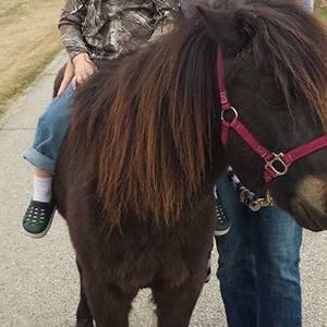 Meet your Posher, Vickie