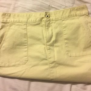 Ann Taylor Loft Sz 4 petite skirt