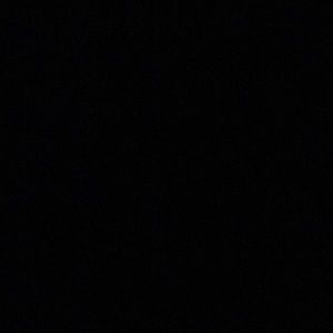 Meet your Posher, Carmen