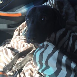 Meet your Posher, Caitlin