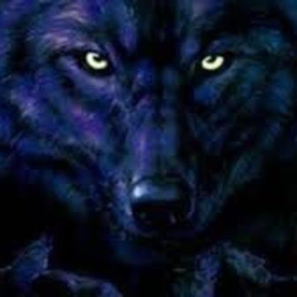 Meet your Posher, Tabitha - Picture 1 of 1