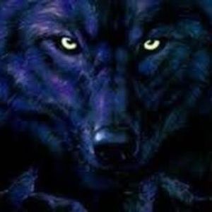 Meet your Posher, Tabitha