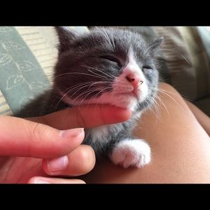 Meet your Posher, Tricia