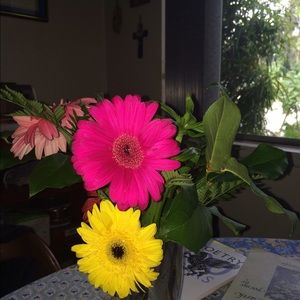 Meet your Posher, Cecily