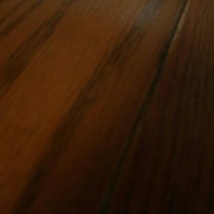 Meet your Posher, Holly