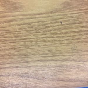 Meet your Posher, Myles