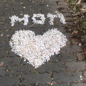 Meet your Posher, Cecilia