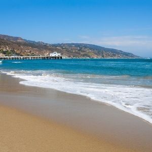 Meet your Posher, Maddie