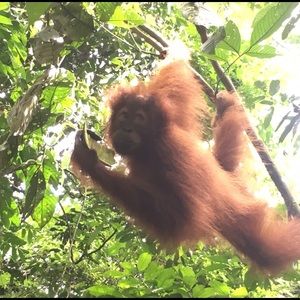 Meet your Posher, Ayla