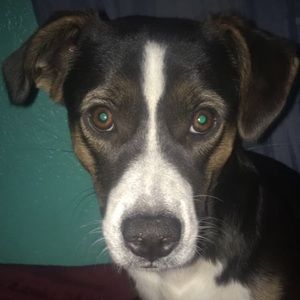 Meet your Posher, Sandy