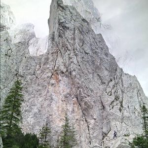 Meet your Posher, Yancy