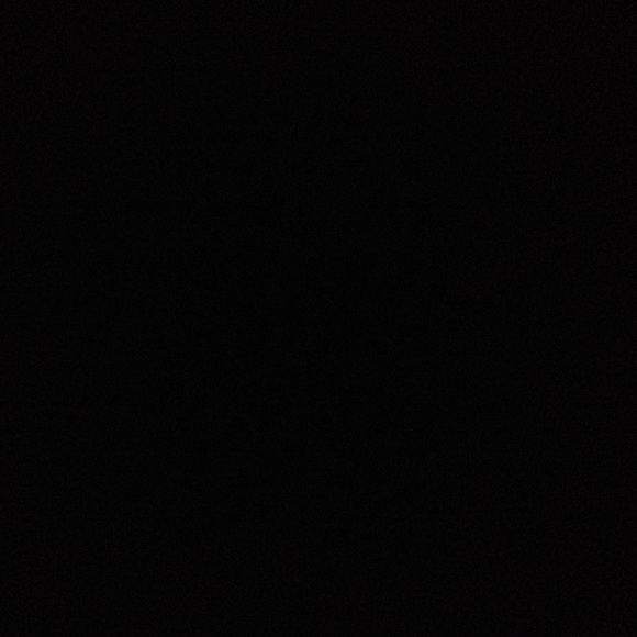 Meet your Posher, Bailey - Picture 1 of 1