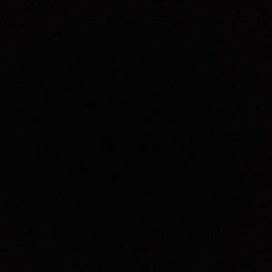 Meet your Posher, Bailey