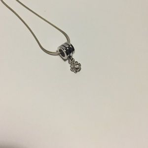 Pandora bead